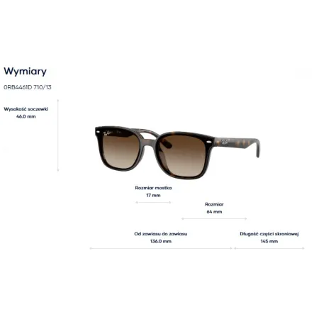 Ray-Ban RB4461D 71013
